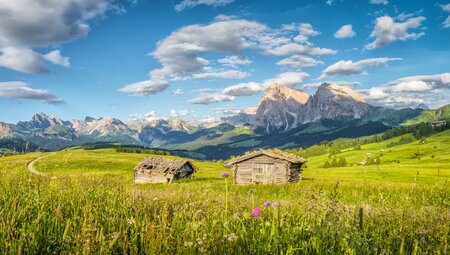 Südtirol - die Seiser Alm gemütlich erwandern