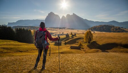 Südtirol - die Seiser Alm gemütlich erwandern