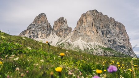 Südtirol - die Seiser Alm gemütlich erwandern