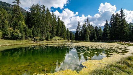 Südtirol - die Seiser Alm gemütlich erwandern