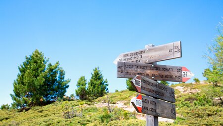 Südtirol - die Seiser Alm gemütlich erwandern
