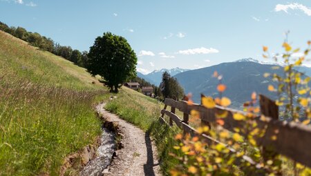 Frühlingserwachen in der Kurstadt Meran - für Singles & Alleinreisende