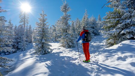 Schneeschuhwandern im Antholzertal