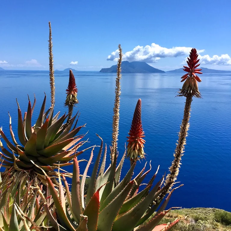 Highlights der Liparischen Inseln erwandern