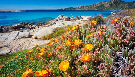 Sardiniens Highlights erwandern