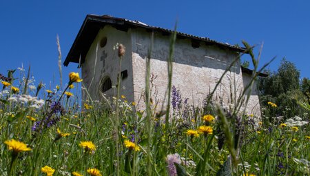 Gardasee - blühende Wiesen und Aussichtsberge