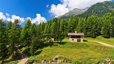 Trentino - im Val di Sole