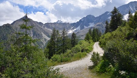 Trentino - im Val di Sole