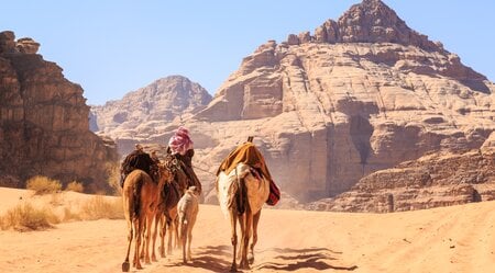 Jordanien Beduinen Kamele