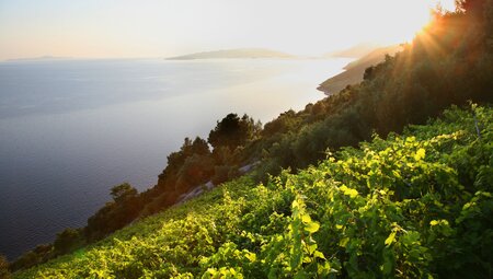 Kroatien - Dalmatien gemütlich erwandern