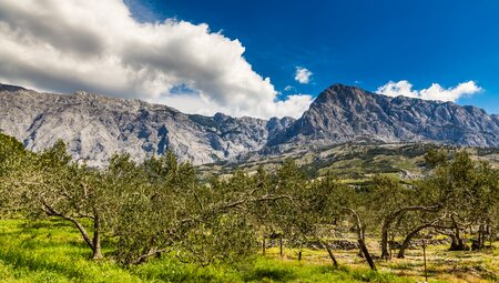 Kroatien - Dalmatien gemütlich erwandern