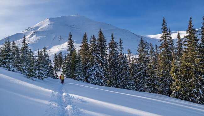 Silvester in den Bergen Norwegens