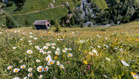 Tirol individuell am Lechweg
