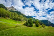 © shutterstock_1509728564