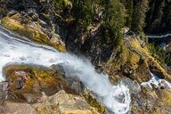 © shutterstock_1385903075