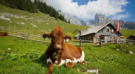 Dachstein Höhenrundweg 7 Tage