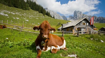 Dachstein Höhenrundweg 7 Tage