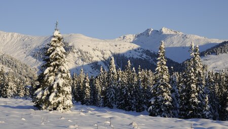 Silvester in den Kitzbüheler Alpen