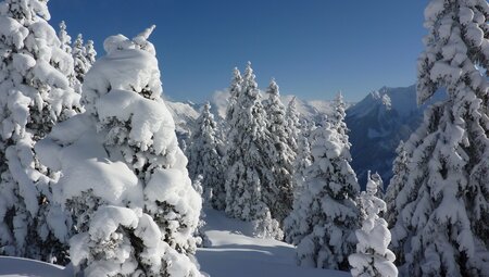 Schneeschuhwandern in den Dolomiten - das Sagenreich der Faneshütte