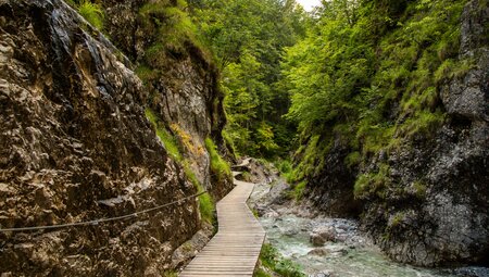 Salzburger Kalkalpen gemütlich erwandern