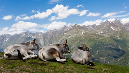 Ötztaler Alpen - Obergurgl
