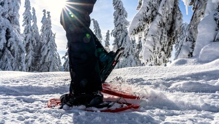 Schneeschuhwandern in der Wattener Lizum