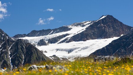 Skitouren zu den Pitztaler Gletschergipfeln mit Wildspitze (3.772 m)