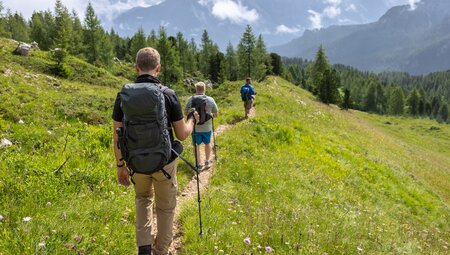 Schwindelfrei und trittsicher ins Gebirge