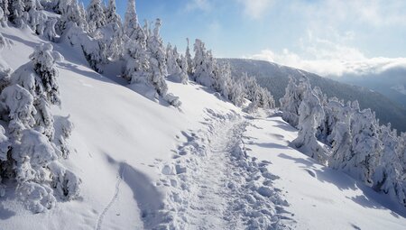 Winterwandern in den Dolomiten - mittel