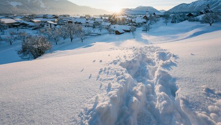 Winter- & Schneeschuhwandern am Mieminger Plateau