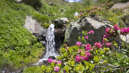 Almwandern - Mieminger Plateau