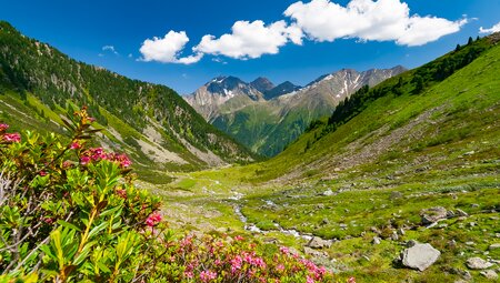 Almwandern - Mieminger Plateau