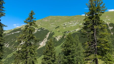 Almwandern - Mieminger Plateau