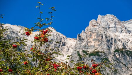 Salzburger Kalkalpen gemütlich erwandern