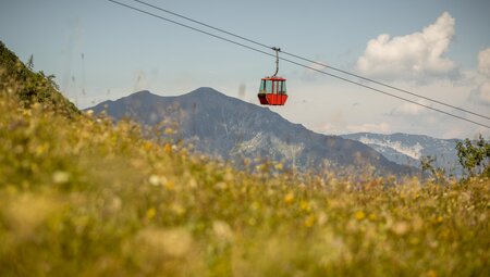 Das Salzkammergut gemütlich erwandern 