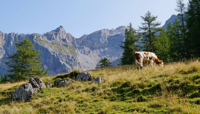 Steiermark - das Ennstal zwischen Schladming und Dachstein