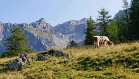 Steiermark - das Ennstal zwischen Schladming und Dachstein