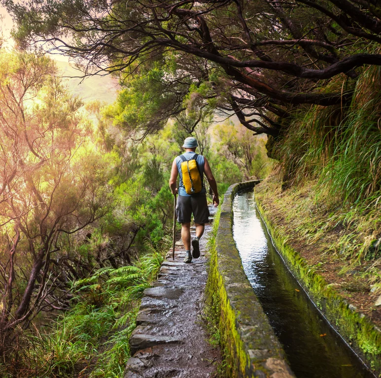 Madeira individuell - quer über die Insel wandern