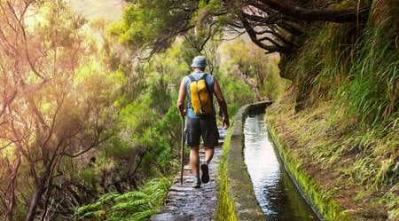 Wanderer entlang der Levada im Lorbeerwald Madeiras
