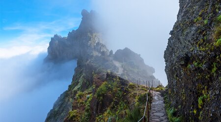 Madeira individuell - quer über die Insel wandern