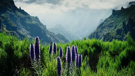 Madeira individuell- quer über die Insel wandern
