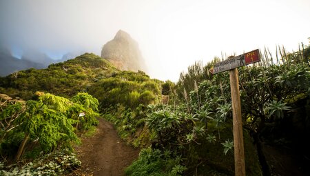 Madeira individuell - von Quinta zu Quinta wandern