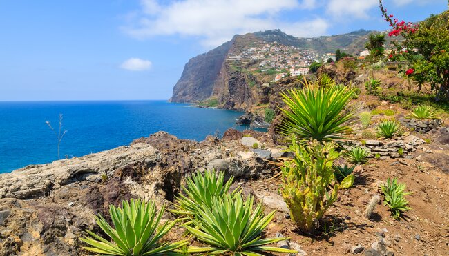 Madeira individuell - von Quinta zu Quinta wandern