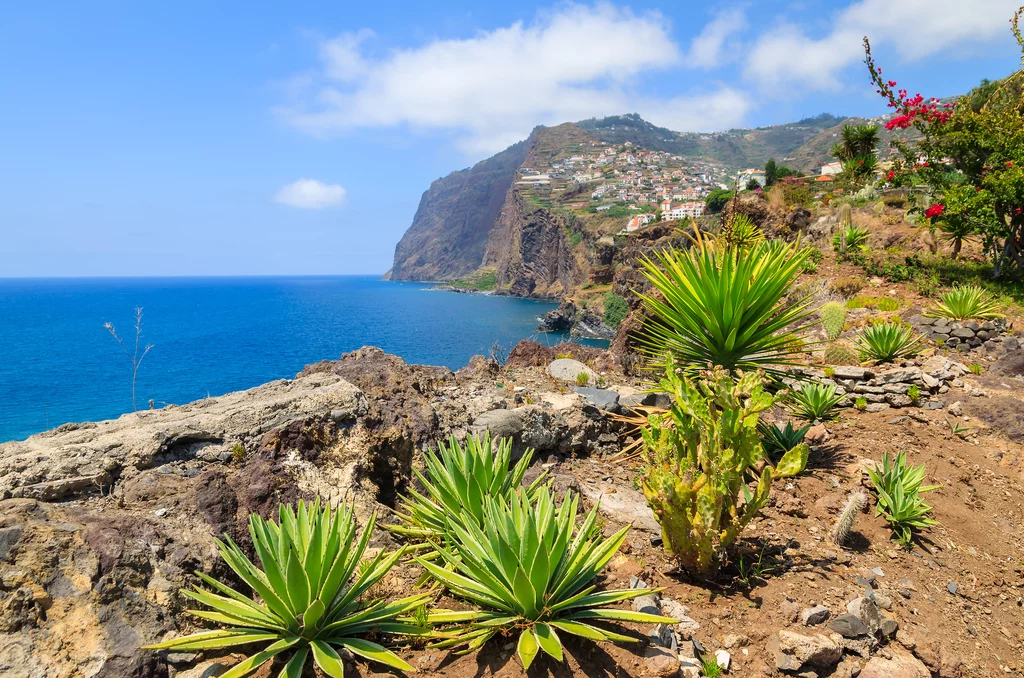 Madeira individuell - von Quinta zu Quinta wandern