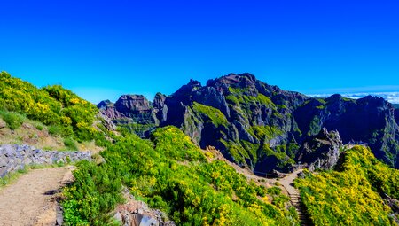 Madeira individuell - von Quinta zu Quinta wandern
