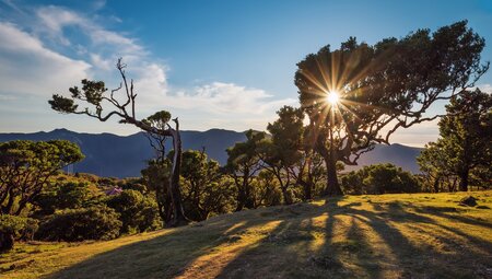 Madeira individuell - von Quinta zu Quinta wandern