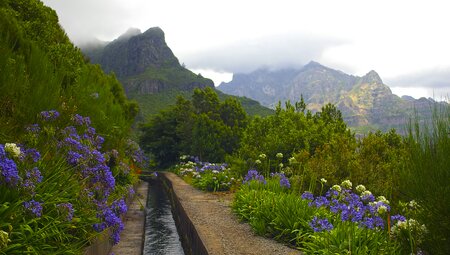 Madeira individuell - Sternwandern von Funchal zum Dach der Insel