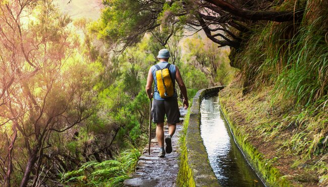 Wanderer entlang einer Levada auf Madeira