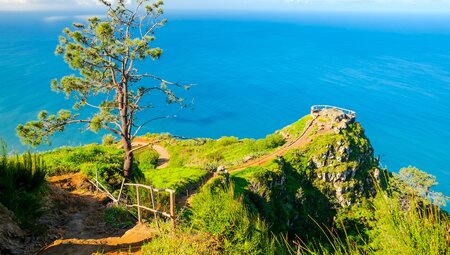 Madeira individuell - Sternwandern von Funchal zum Dach der Insel