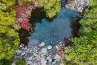 Kleiner Wasserweiler auf Madeira | © shutterstock_1614311389